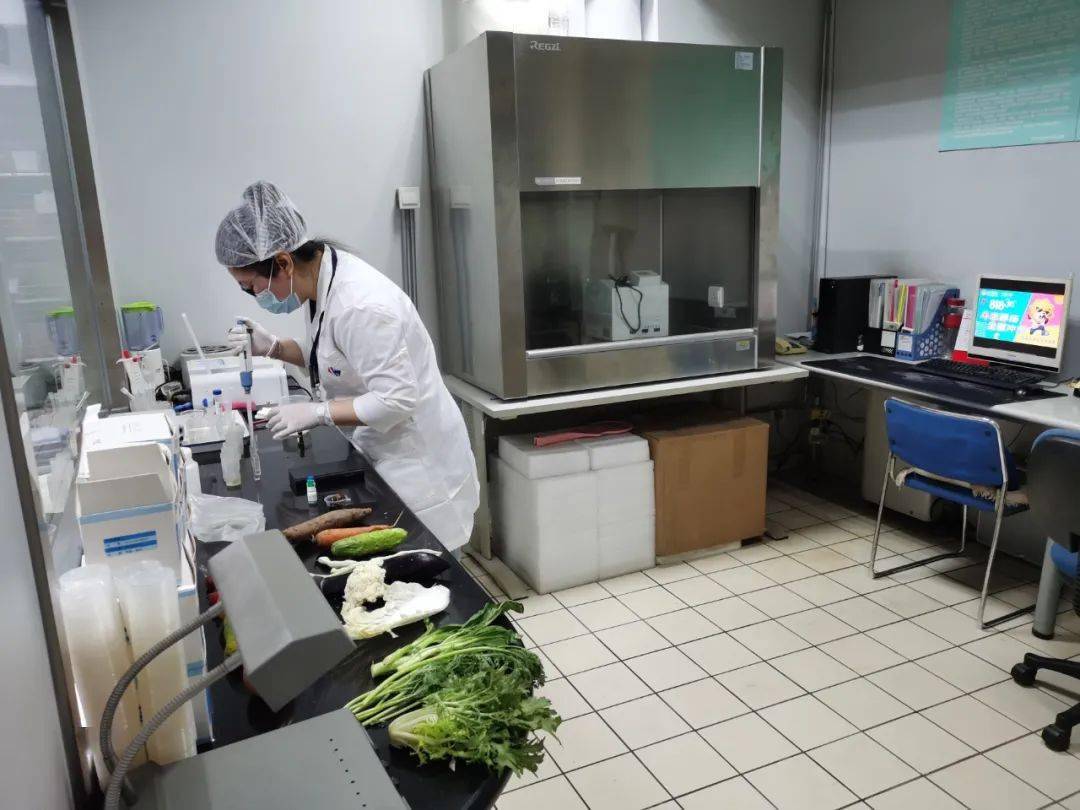 惠阳食品检测实验室装修方案